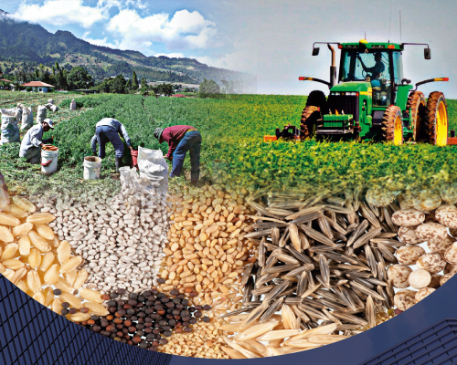 Agroindustrial y Agropecuario