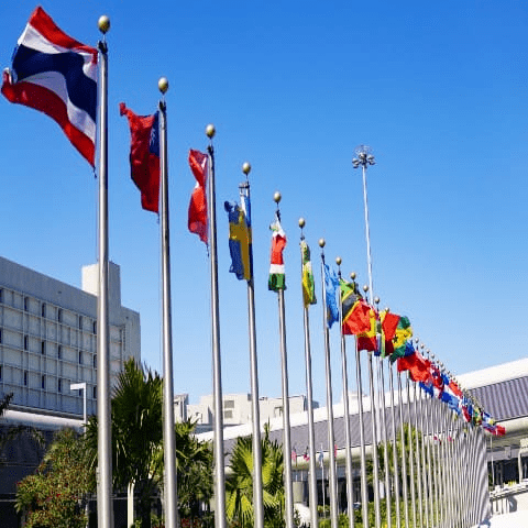 Países, Embajadas y Gobiernos