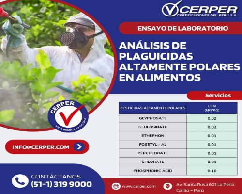 CERPER (2).Infomundo Negocios