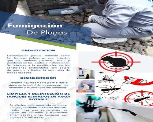 Daniela Ambientales Servicios4.Infomundo Negocios