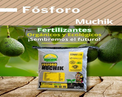 Muchik Fertilizantes Fósforo.Infomundo Negocios