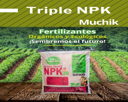 Muchik Fertilizantes Triple NPK.Infomundo Negocios