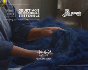 Michell y CIA SA (2).Infomundo Negocios