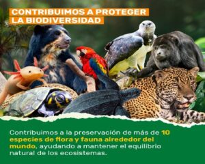 Aje Group (4).Infomundo Negocios