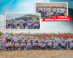 BSF Almacenes del Perú (5).Infomundo Negocios