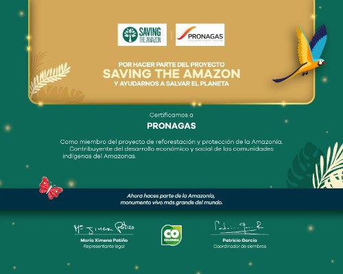 PRONAGAS (4).Infomundo Negocios