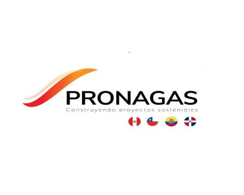 PRONAGAS.Infomundo Negocios