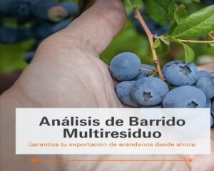 SGS (2).Infomundo Negocios