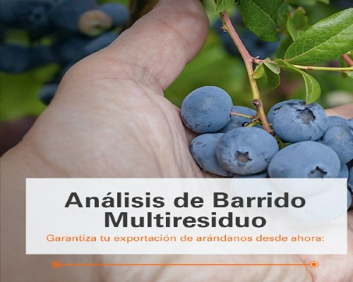 SGS (2).Infomundo Negocios