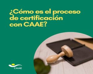 CAAE (1).Infomundo Negocios