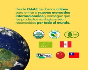CAAE (4).Infomundo Negocios