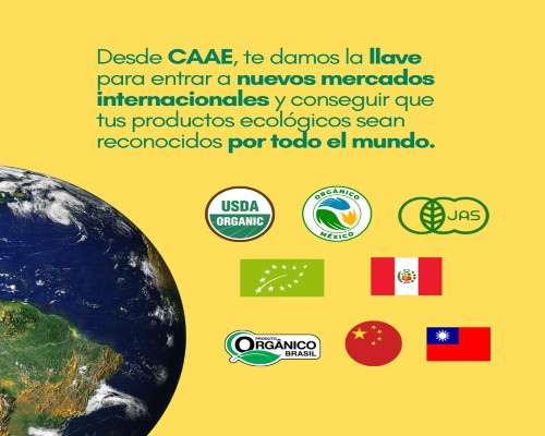 CAAE (4).Infomundo Negocios