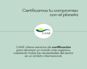 CAAE (5).Infomundo Negocios