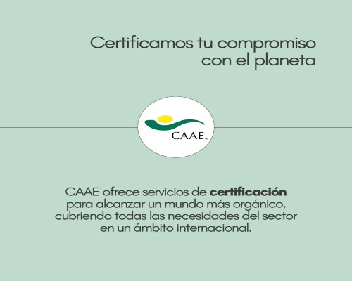 CAAE (5).Infomundo Negocios