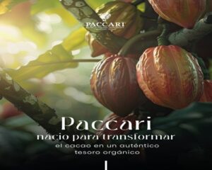 Paccari Chocolate (1).Infomundo Negocios