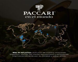 Paccari Chocolate (6).Infomundo Negocios