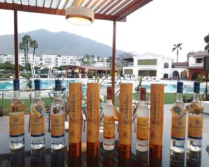 PISCO COSTUMBRES.FUNDO ODRIA FAP.Adolfo Delgado.Representante de Marca