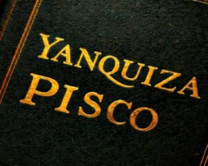 Yanquiza Pisco.Infomundo Negocios